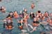 DSC_0481